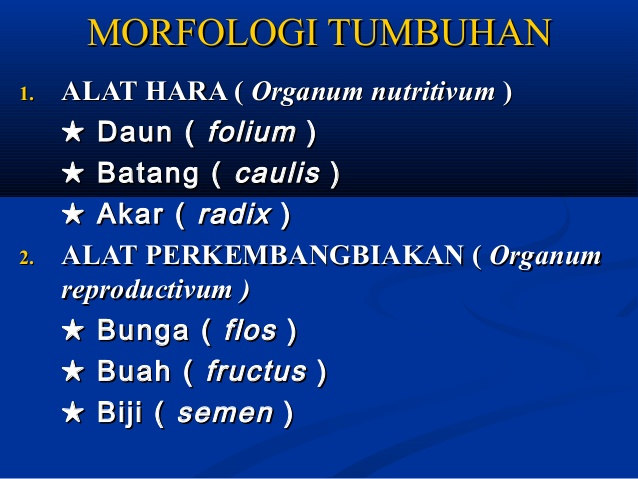 buku morfologi tumbuhan gembong pdfescape